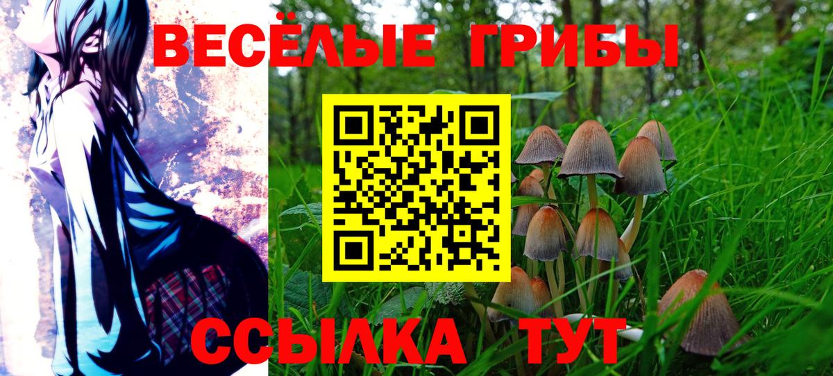Псилоцибиновые грибы Cubensis Лениногорск