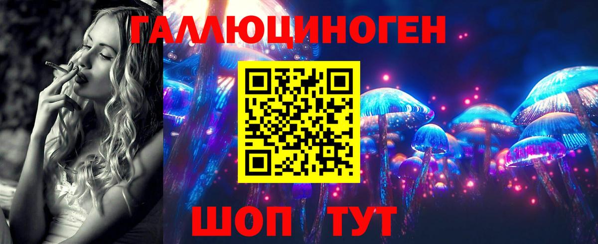 Галлюциногенные грибы Psilocybine cubensis  Вход с VPN  Лениногорск 